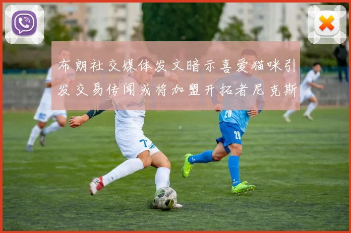 布朗社交媒体发文暗示喜爱猫咪引发交易传闻或将加盟开拓者尼克斯雷霆湖人